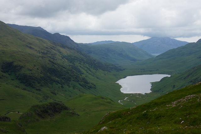 where we were met with a lovely view towards Loch Nevis before the cloud came down and the rain game in.  An enjoyable walk but little in the way of mammals to spot though continuous bird song, numerous butterflies as well as the unfortunate cleggs and midges.