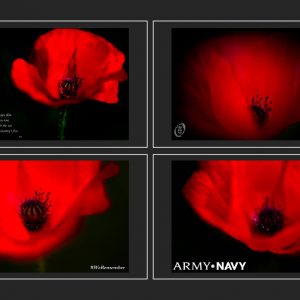 The Poppy – 2020 Remembrance